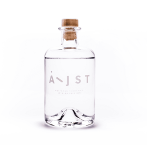 aeijst-gin
