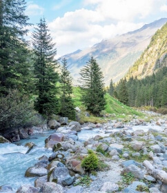 Alpine Organics - Tiroler Bergquellwasser Landschaft