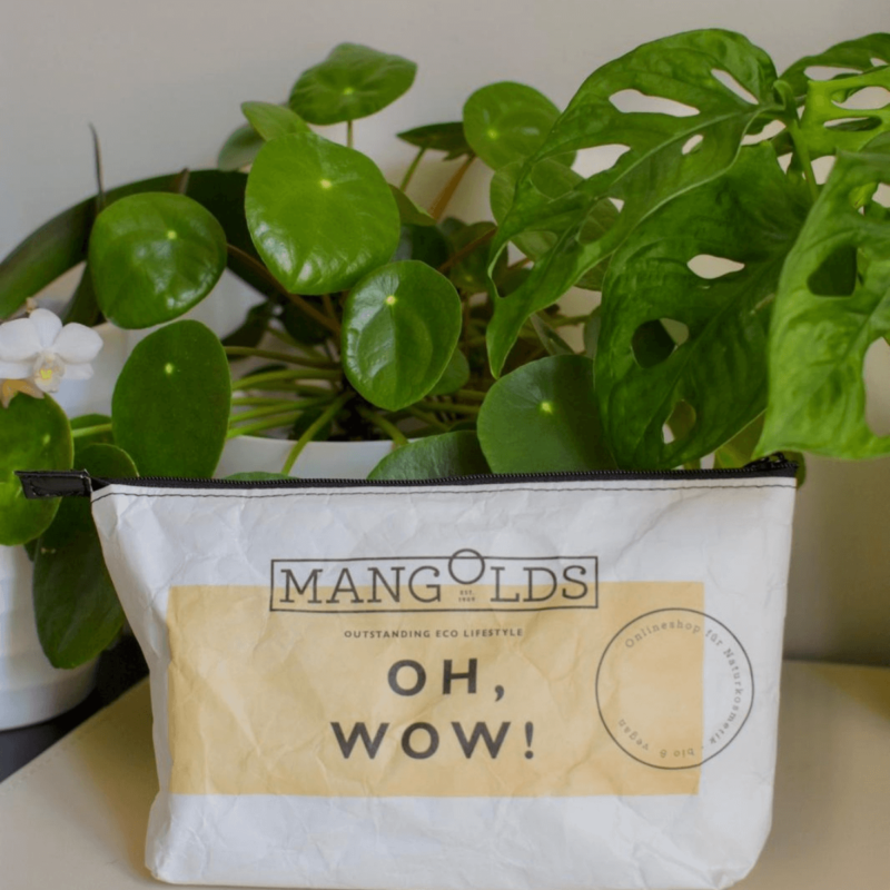 Mangolds Kosmetiktasche stehend vor einer Pflanze